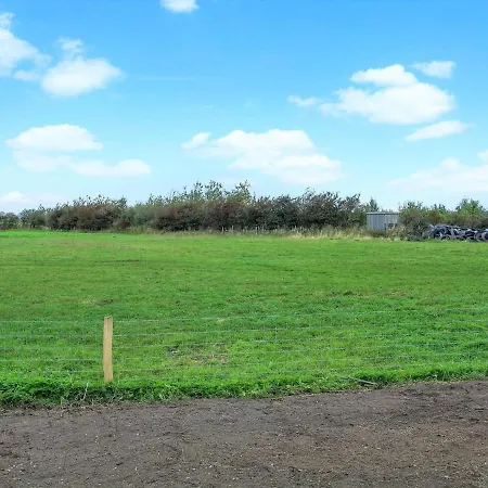 Dolfine - 15km From The Sea In Western Jutland By Interhome * Skærbæk
